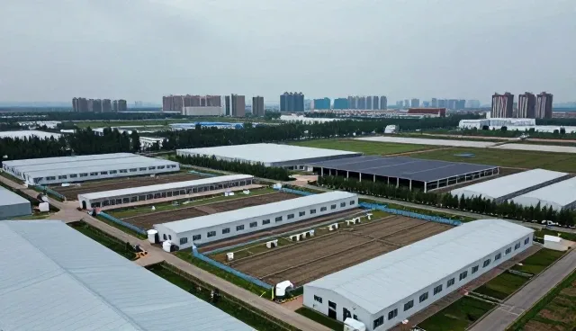 应用开发适配方案中的维护策略选择关键